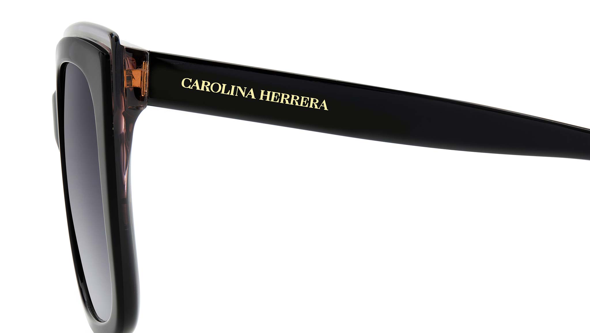 Carolina Herrera HER 0249/G/S 807 Sunglasses Black - eye-oo.com