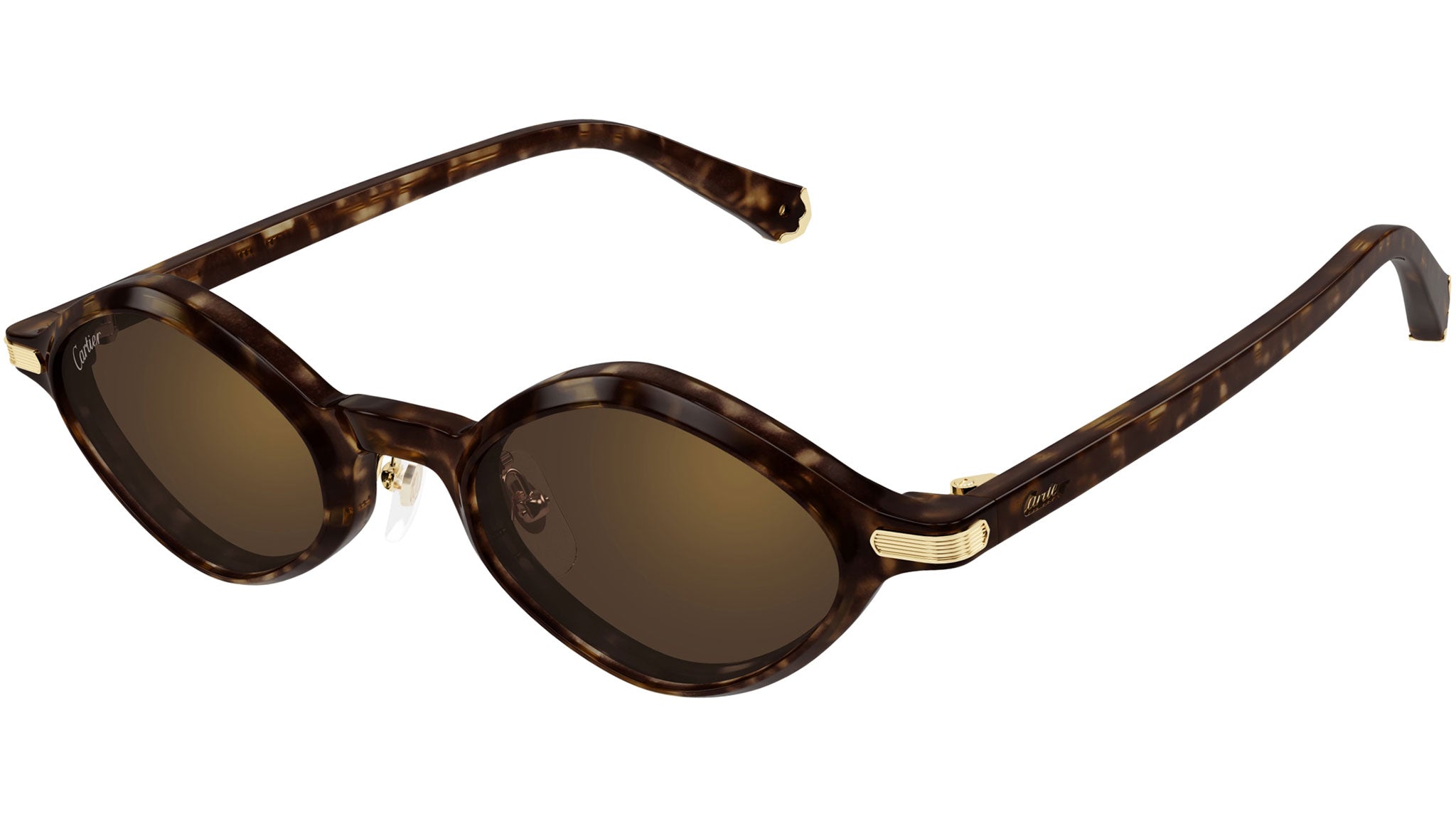 Cartier Première CT0540S Sunglasses 002 Dark Havana - eye-oo.com