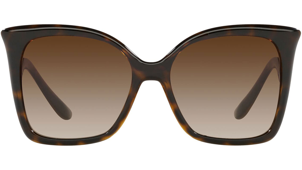 DG 6168 502/13 tortoise