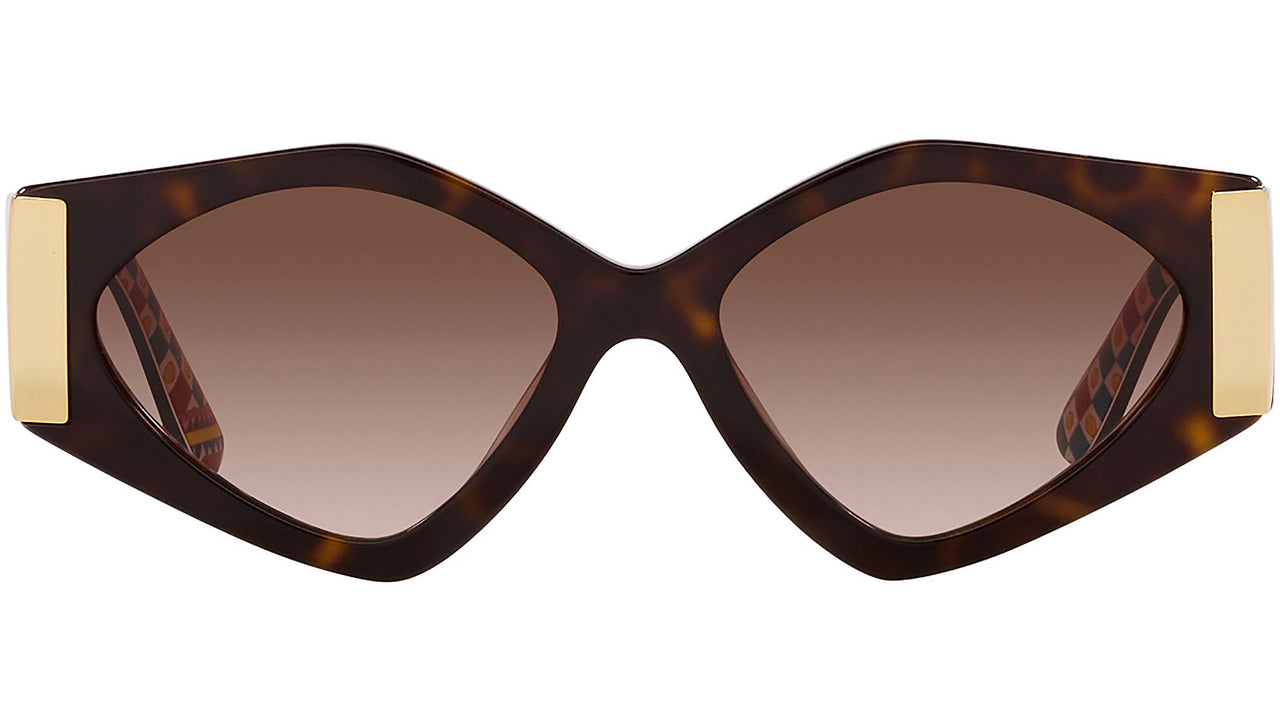 DG 4396 321713 Tortoise Brown