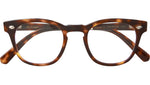 Hanalei C Tortoise