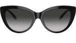 TF4196 80013C Black
