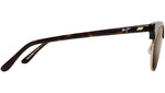 Holomua H695 10