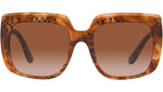 DG 4414 338013 tortoise