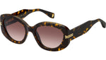 MJ 1099/S 086 HA Havana