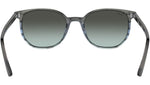 Elliot RB2197 1391GK Grey Blue
