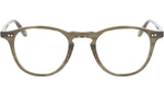 Hampton Olive Tortoise