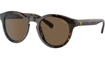 PH4184 500373 Dark Havana