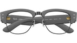 RB7316V Optics 5521