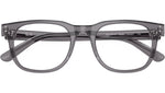 RB5461D Optics 8268