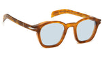 DB 7046/S Brown Havana Azure Photocromatic