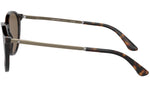 AR 8196 502673 Tortoise