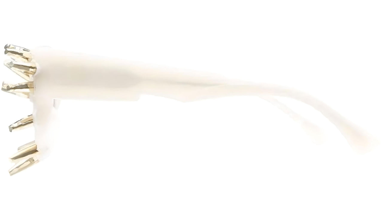 000003232026_1.jpg