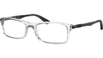 RB7017 Optics 5943