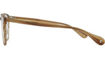 Manzanita Palisade Tortoise