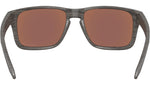 Holbrook S OO9509 05