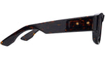 Muskel DTS701 02 Tortoise