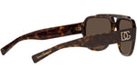 DG 4389 502/73 tortoise