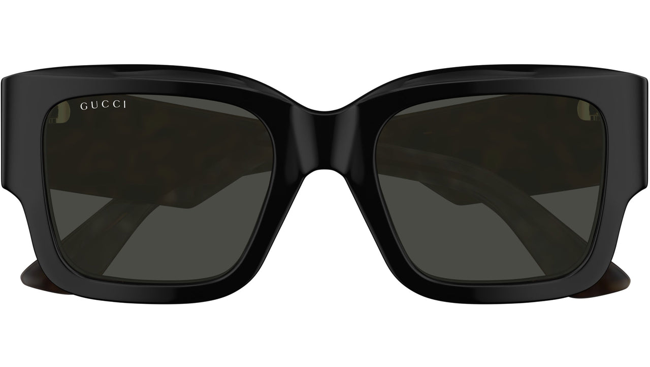 GG1663S 001