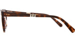 Hanalei C Tortoise