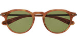 Dorian S Amber Tortoise