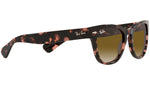 Laramie RB2201 133451 pink havana