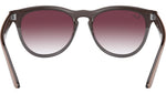 Iris RB4471 66338H beige on transparent grey
