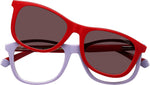PLD 8054/CS 7PR KL Clip