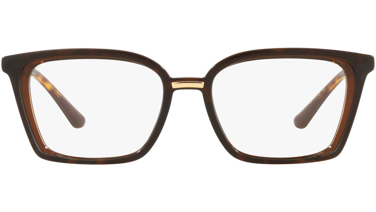 DG 5081 3185 tortoise