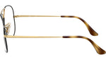 Aviator Optics RB6489 3177