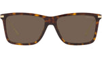 PR 01ZS tortoise