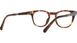 Hanalei C Tortoise