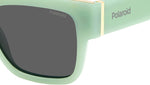 PLD 6198/S/X 1ED M9