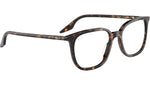 RB5406 Optics 2012