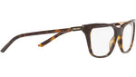 PR 05YV tortoise