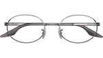 RB6481V Optics 3123