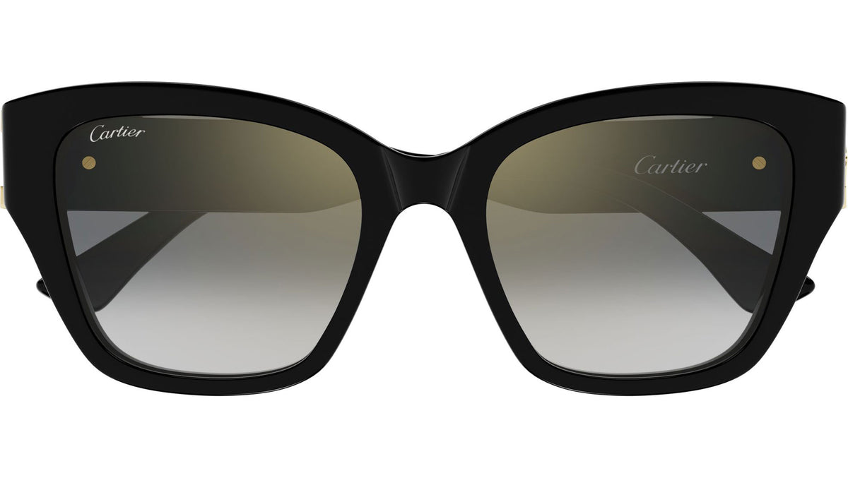 CT0666S 001