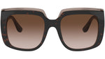 DG 4414 502/13 tortoise