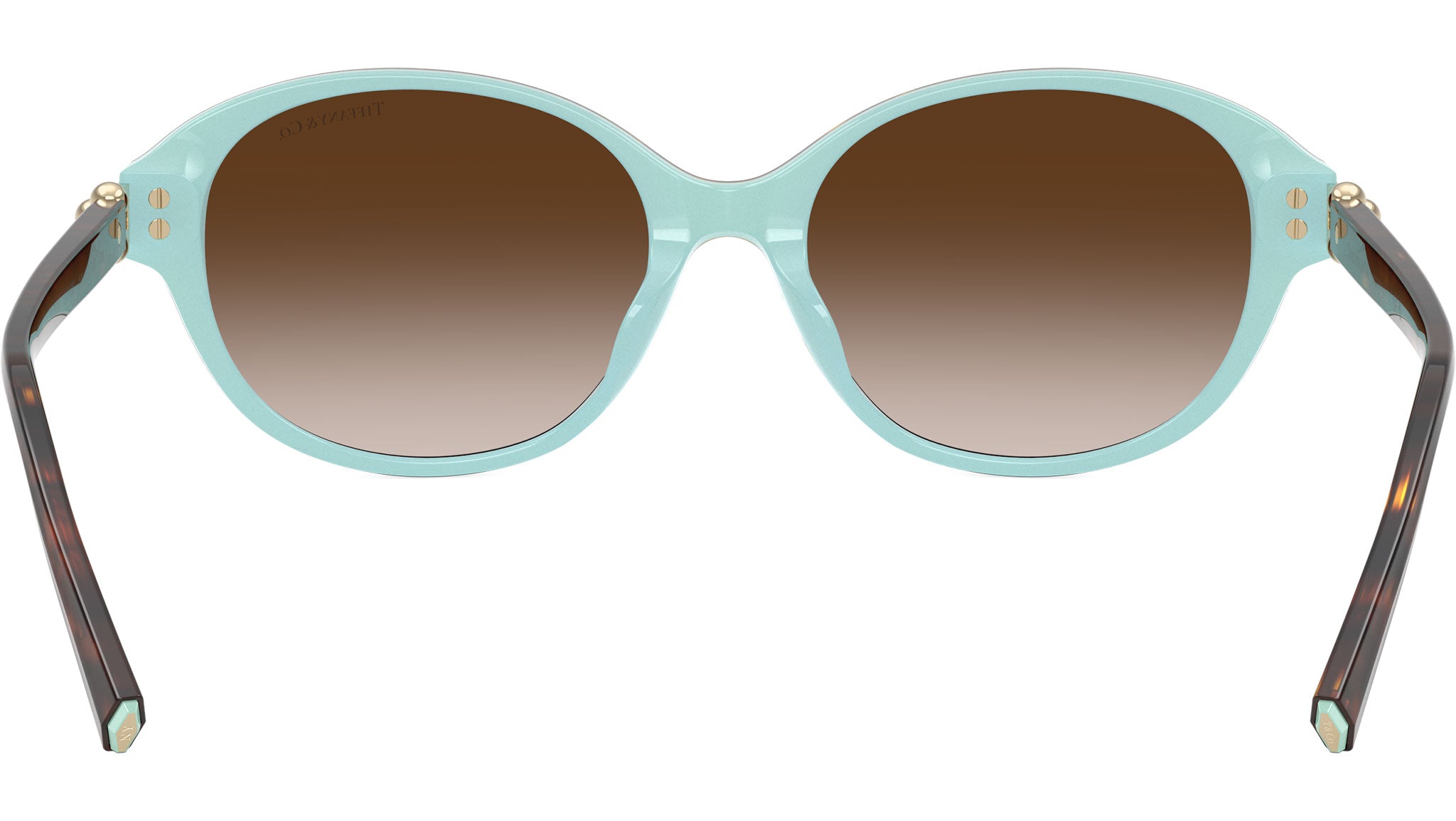 TF4263D Tiffany Sunglasses 81343B Havana on Tiffany Blue - eye-oo.com