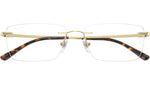 RB8781D Optics 1251