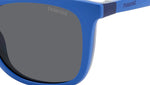 PLD 8055/CS ZX9 M9