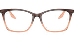 RB5422 Optics 8312