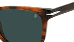 DB 1113/S EX4 KU Brown Horn