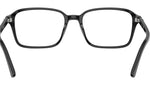 Raimond Optics RB5431 2000