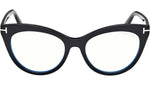 FT6091-B 001