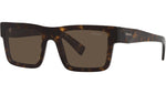 PR 19WS tortoise