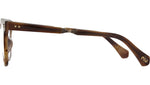 Dean C Moth Tortoise