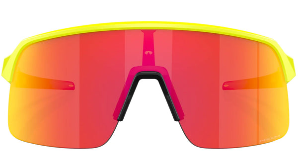 150ef6a8e185dd9bec5f6c7b1f9407