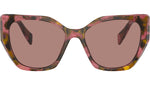 PR 19ZS 18N10D Brown
