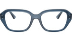 RB7258 Optics 8434